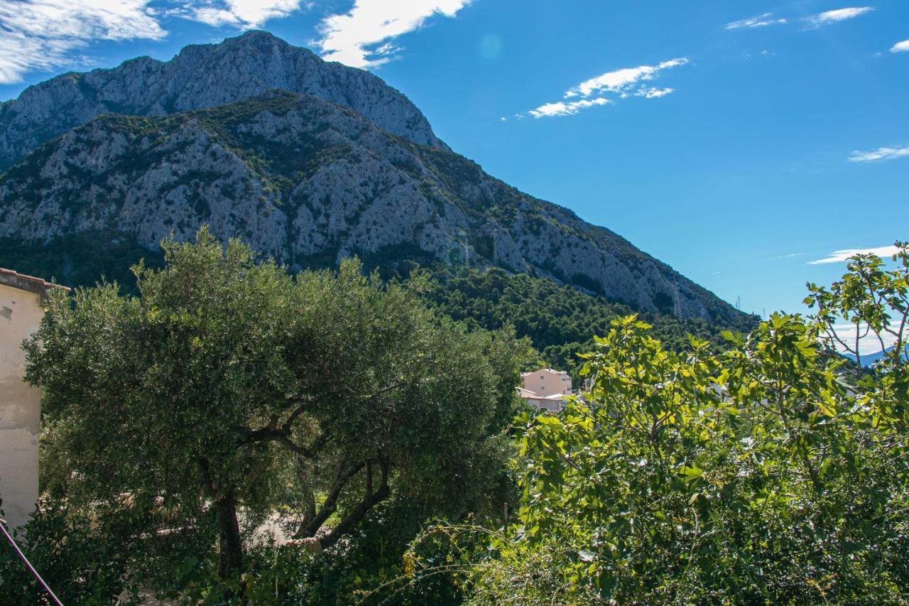 Apartments With A Parking Space Gradac, Makarska - 14708 Gradac (Split-Dalmatia) Exterior foto