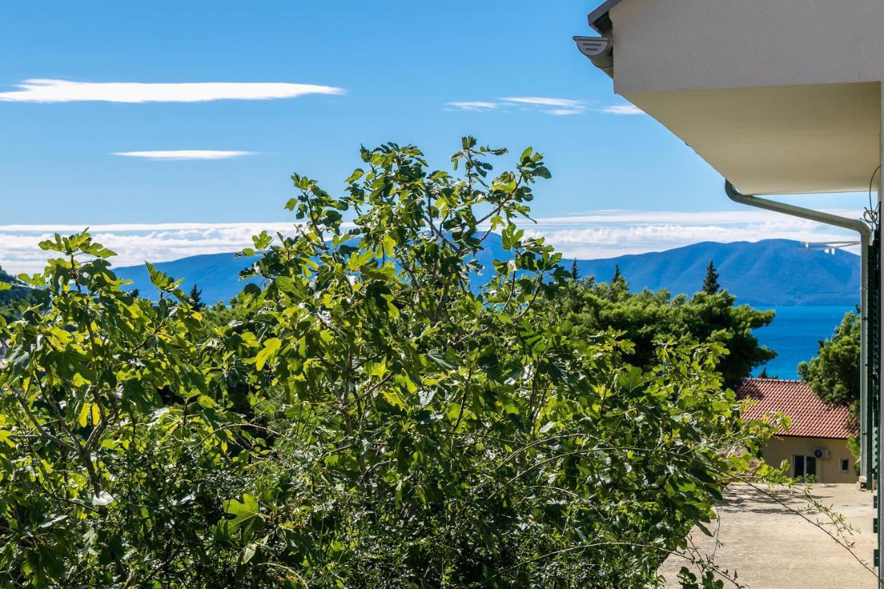 Apartments With A Parking Space Gradac, Makarska - 14708 Gradac (Split-Dalmatia) Exterior foto